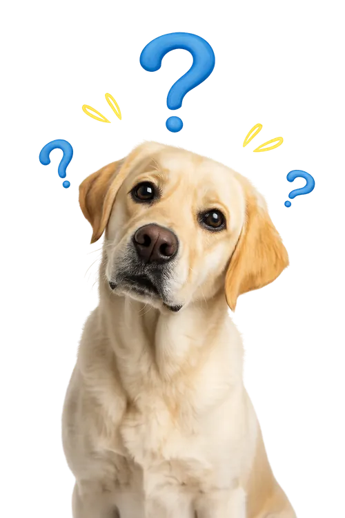 ¿Tienes dudas? Kerpet te ayuda